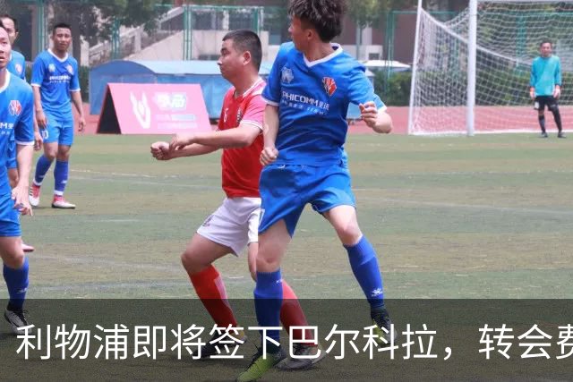 利物浦即将签下巴尔科拉，转会费对标迪奥曼德